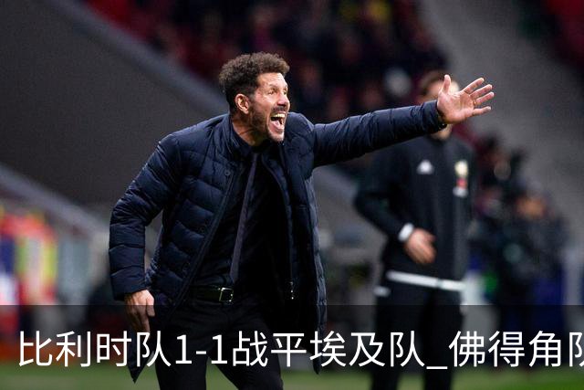 比利时队1-1战平埃及队 佛得角队爆冷逼平西班牙队