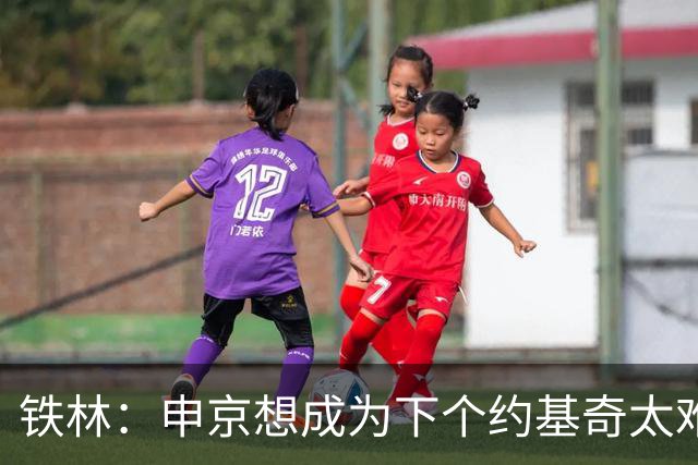 铁林：申京想成为下个约基奇太难了 火箭频繁变动影响了他的性格